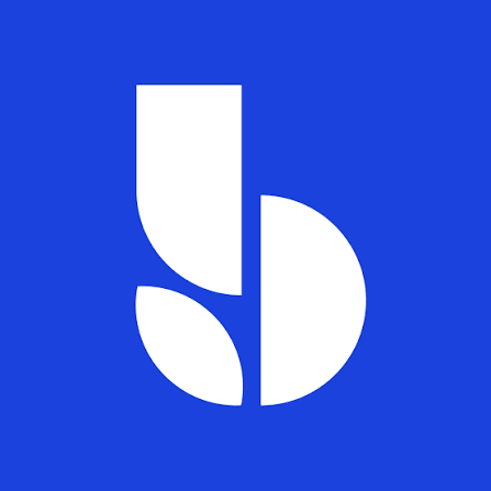 bluevine sole business bank